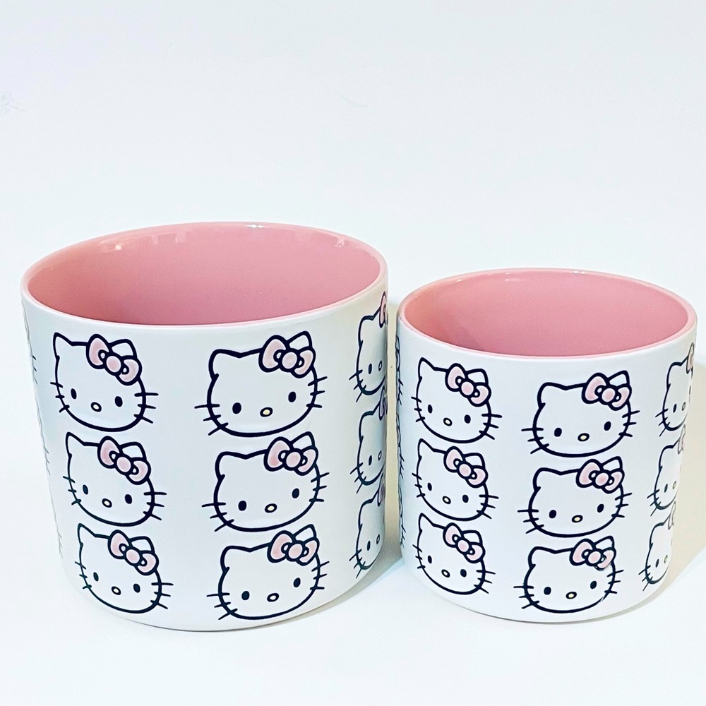 🎀 Hello Kitty Plant Pots